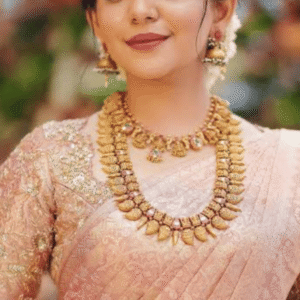 Ahaana longharam